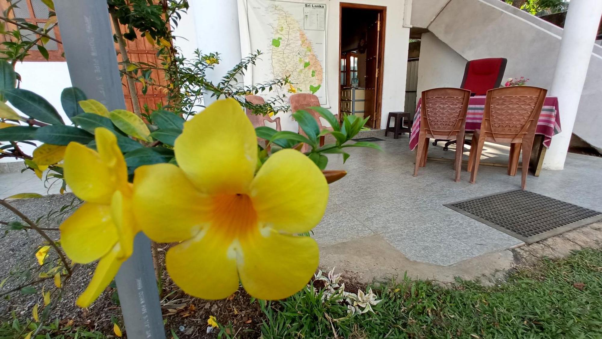 Safari Horizon Udawalawe Exterior foto